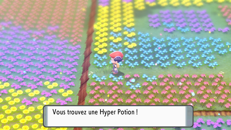 Fichier:Pré de Floraville Hyper Potion DEPS.png