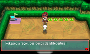 Route 111 Décos de Millepertuis ROSA.png