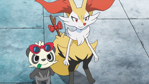 XY090 - Pandespiègle et Roussil de Serena.png