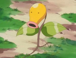 Chétiflor du Bonhomme Caratroc.png