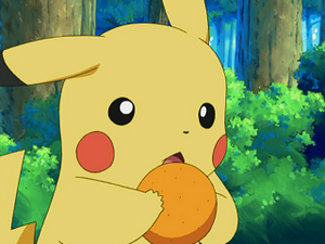 DP005 - Pikachu de Sacha.png