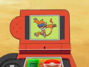 DP088 - Chimpenfeu Pokédex.png