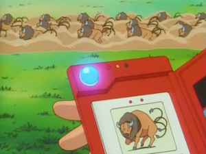 EP033 - Tauros Pokédex.png