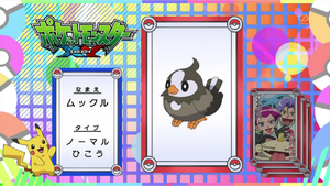 JP - QECP XY77.png