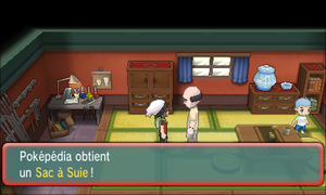 Route 113 Sac à Suie ROSA.png