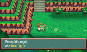 Route 120 Baie Figuy ROSA.png