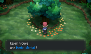 Route 20 Herbe Mental XY.png