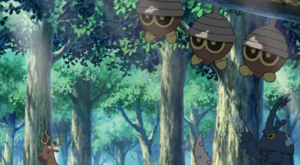 Film 11 Intro - Scarhino sauvage.png