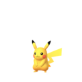 Pikachu (Caché)