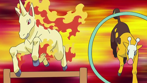 DP174 - Galopa et Girafarig d'un Dresseur.png