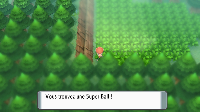 Fichier:Forêt de Vestigion Super Ball DEPS.png