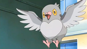 NB022 - Poichigeon de Sacha.png