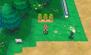 Route 110 Baie Mepo ROSA.png