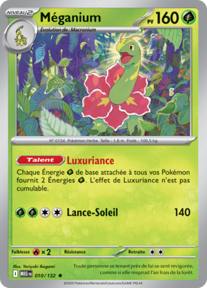 Carte Méga-Évolution 010.png
