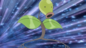 Chétiflor de Vera.png