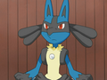 Lucario (de Mélina)