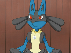 DP069 - Lucario de Mélina.png