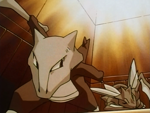 EP073 - Insécateur de Koga (Flash-back).png