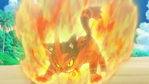 Matoufeu Nitrocharge.png