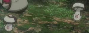 Trompignon sauvages - Film 23.png