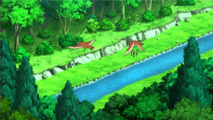 XY037 - Roucool.png