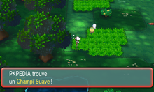 Bois Clémenti Champi Suave ROSA.png