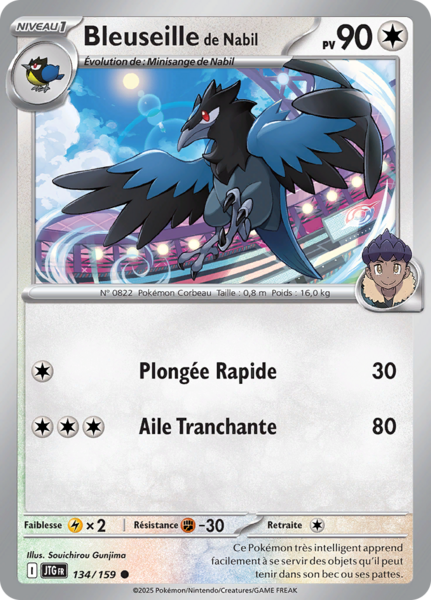 Fichier:Carte Écarlate et Violet Aventures Ensemble 134.png
