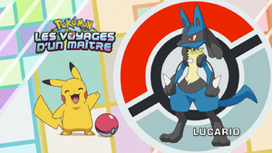 FR - QECP LV084.png
