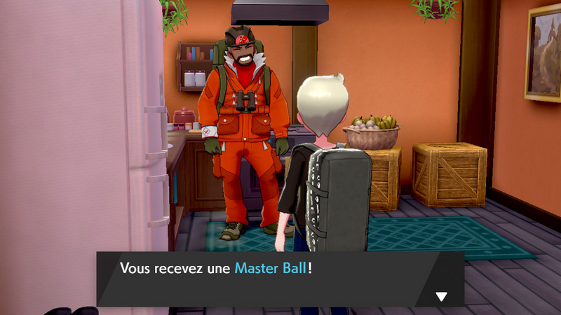 Fichier:Hameau Gelé Master Ball EB.png