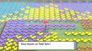 Pré de Floraville Total Soin DEPS.png