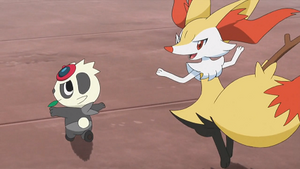XY075 - Pandespiègle et Roussil de Serena.png