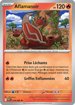 Aflamanoir (Écarlate et Violet Flamme Blanche 019)