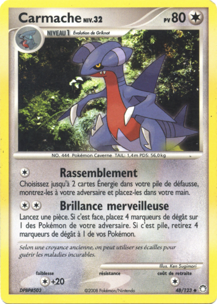 Fichier:Carte Diamant & Perle Trésors Mystérieux 48.png