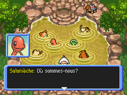 Après l'effort, le réconfort.