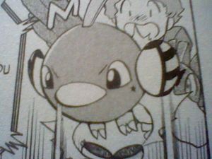Natu de Cristal (PMS).jpg