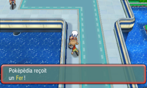 Route 110 Fer ROSA.png
