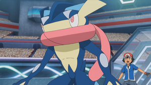 XY125 - Amphinobi de Sacha.png
