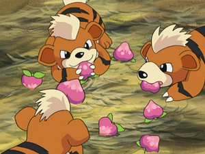 AG139 - Caninos.png