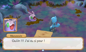 Forêt Kifaipeur (5) PMDM.png