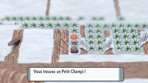 Mont Couronné Petit Champi 5 DEPS.png