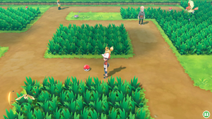 Route 11 Défense + LGPE.png