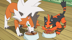 SL096 - Lougaroc et Matoufeu de Sacha.png