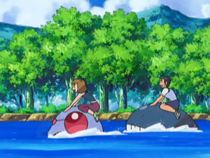 DP091 - Tentacruel d'un Dresseur et Wailmer de Kendall.png