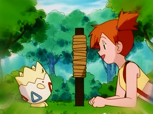 EP088 - Togepi d'Ondine (Flash-back).png