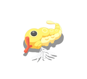 Sprite 0010 Dodo 3 chromatique Sleep.png