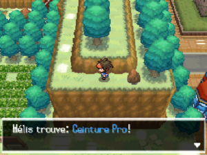 Route 19 Ceinture Pro N2B2.png