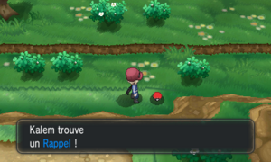 Route 3 Rappel XY.png