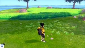 Taupiqueur d'Alola Mer Eau-Hisse 8 EB.png