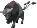 0128 - Tauros de Paldea