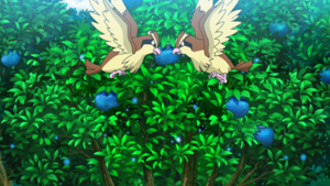 LV142 - Roucool.png
